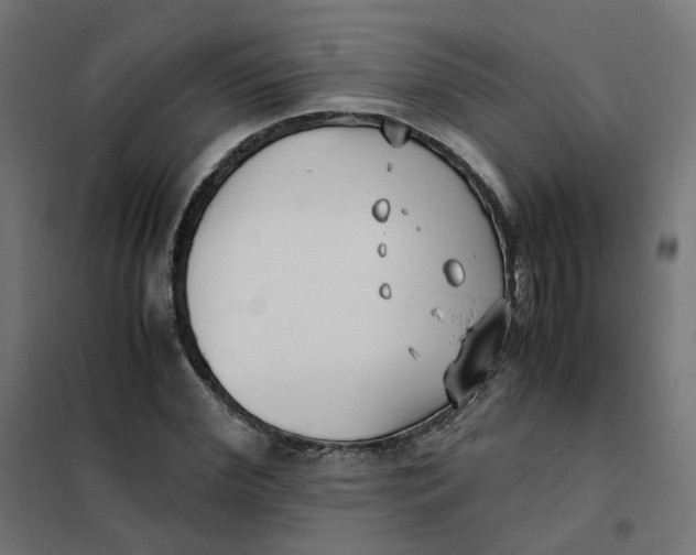 X0000102030972200808081808