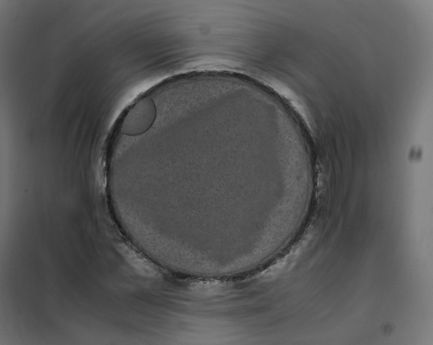 X0000102030973200808081808