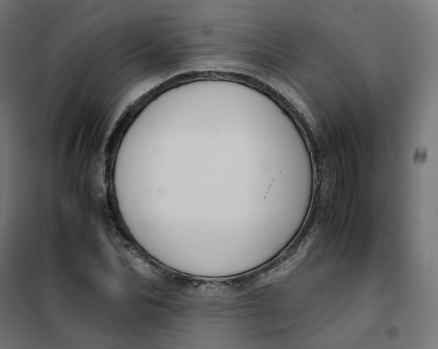 X0000102030974200808081808