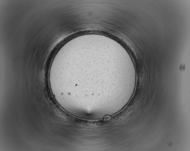 X0000102030975200808081808