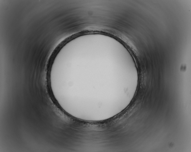 X0000102030976200808081808