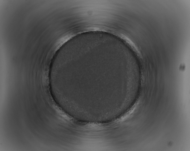 X0000102030977200808081808