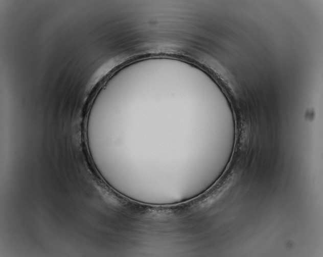 X0000102030978200808081808