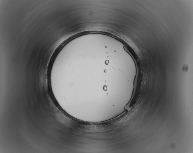 X0000102030980200808081808