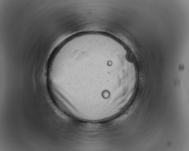 X0000102030981200808081808