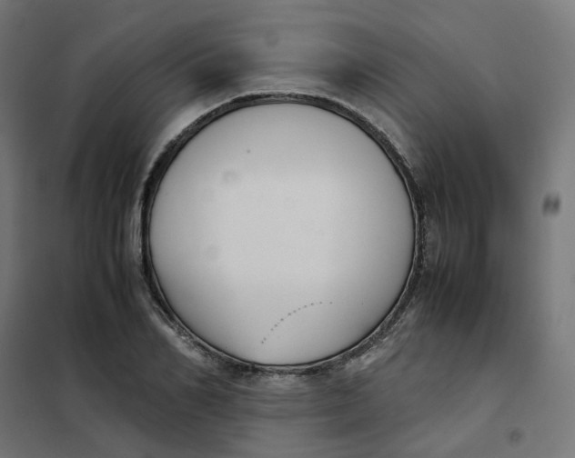 X0000102030982200808081808