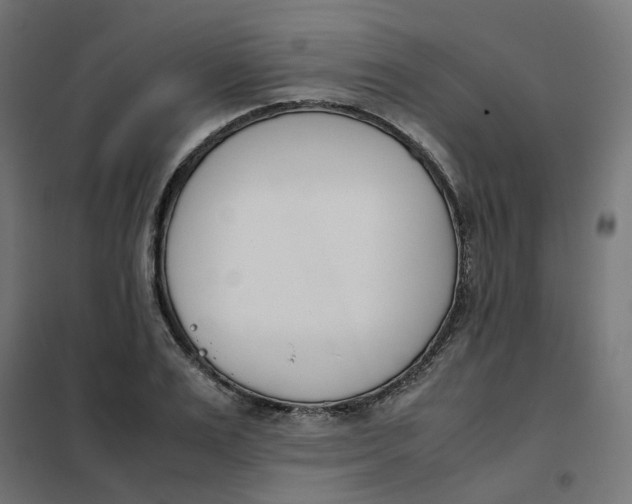 X0000102030983200808081808