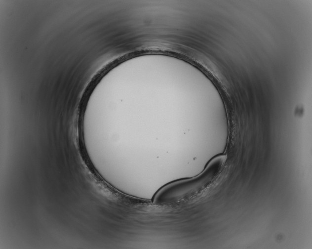 X0000102030984200808081808