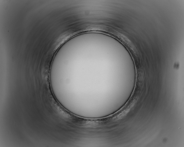 X0000102030985200808081808