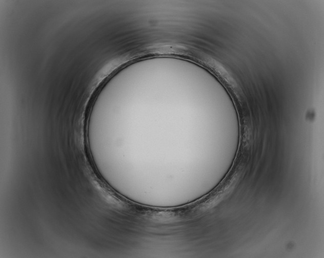 X0000102030986200808081808