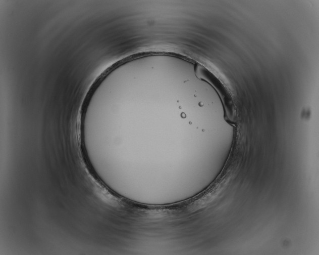 X0000102030988200808081808