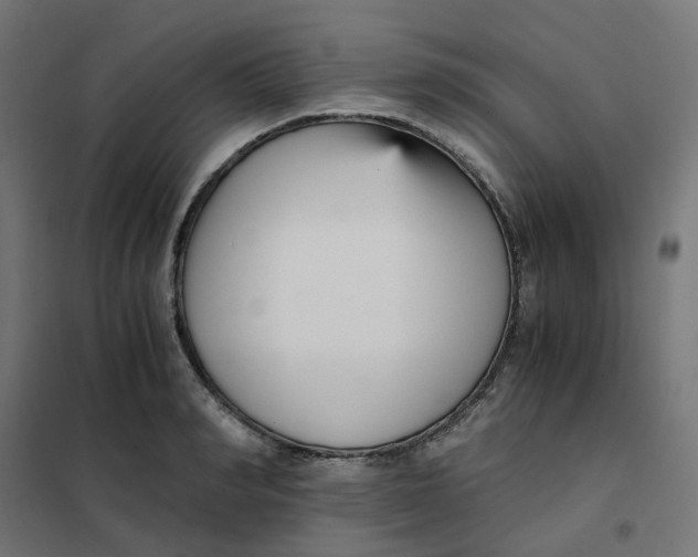 X0000102030990200808081808