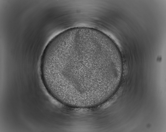 X0000102030991200808081808