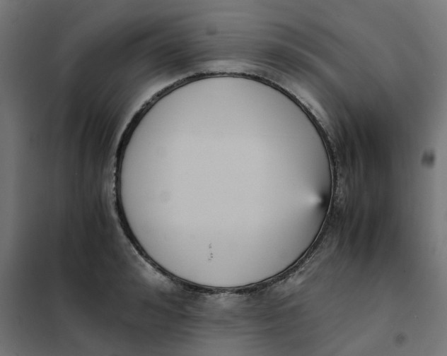 X0000102030992200808081808