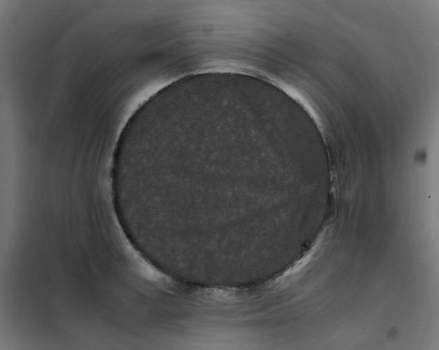 X0000102030995200808081808