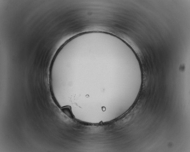 X0000102030996200808081808