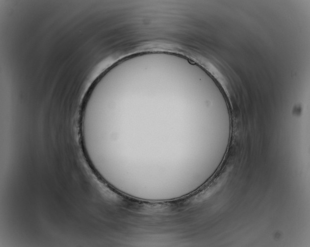 X0000102030997200808081807