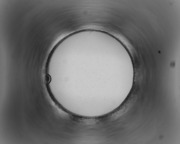 X0000102030999200808081807