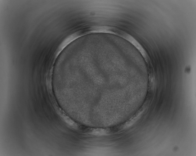 X0000102031002200808081807