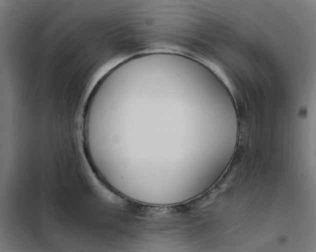 X0000102031003200808081807