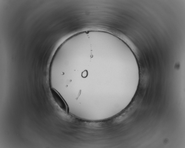 X0000102031004200808081807