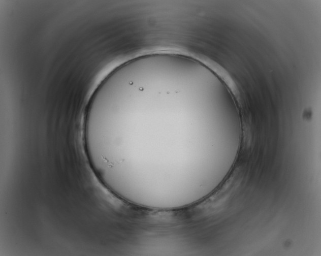 X0000102031006200808081807