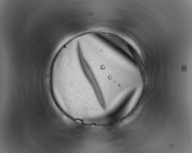 X0000102031007200808081807