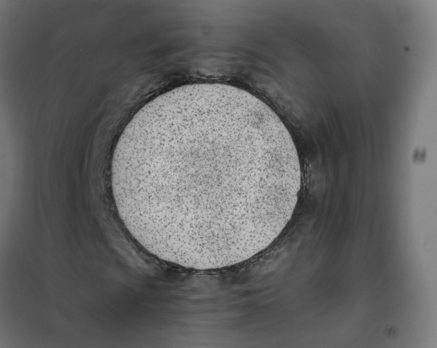 X0000102031009200808081807