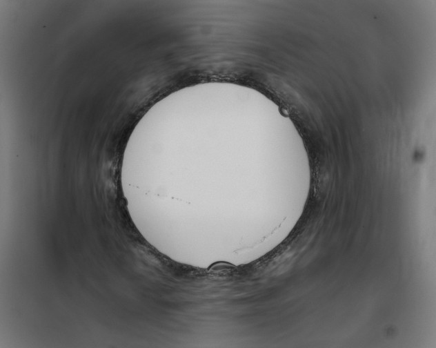 X0000102031010200808081807