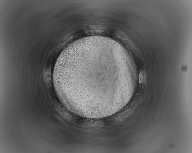 X0000102031011200808081807