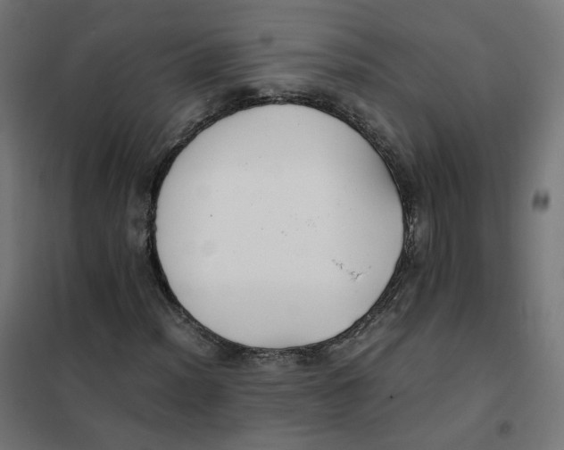 X0000102031012200808081807