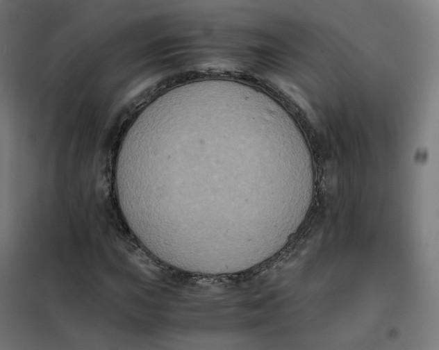 X0000102031015200808081807