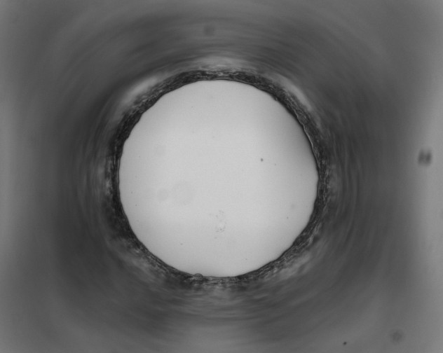 X0000102031016200808081807