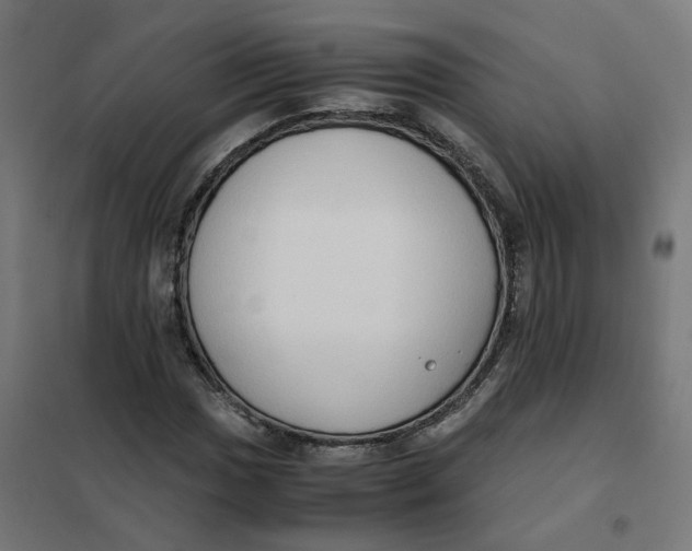 X0000102031017200808081807