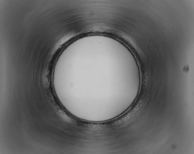 X0000102031018200808081807