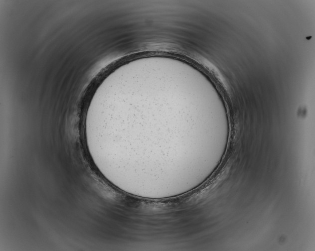 X0000102031019200808081807