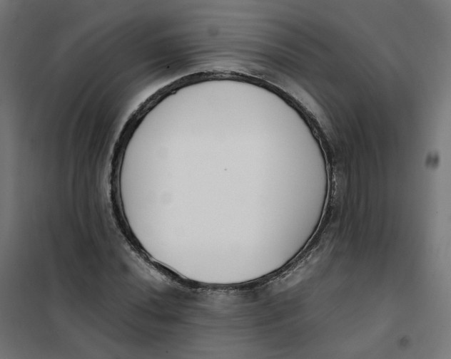 X0000102031020200808081807