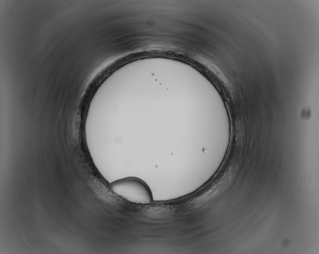 X0000102031021200808081807