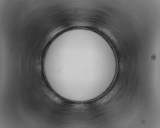 X0000102031025200808081807