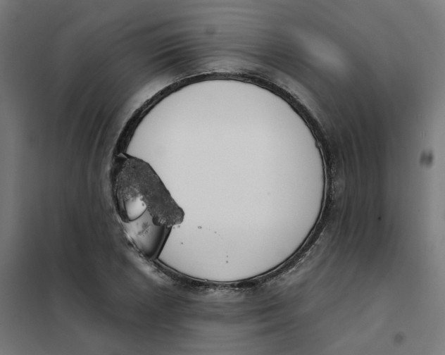 X0000102031026200808081807