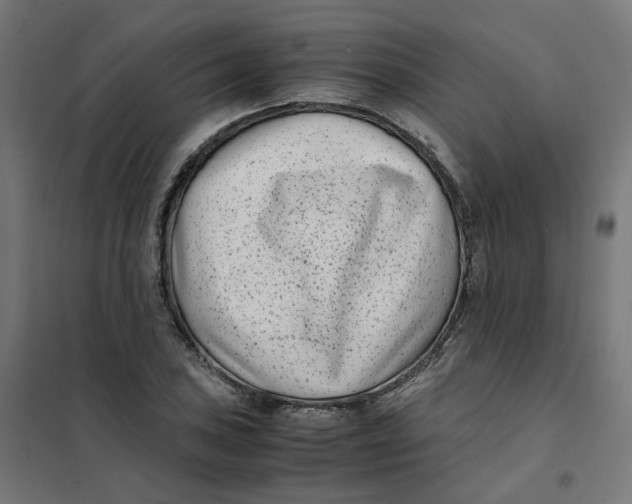 X0000102031027200808081807