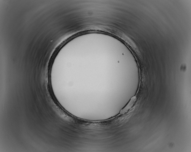 X0000102031028200808081807