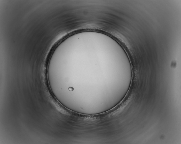 X0000102031029200808081807