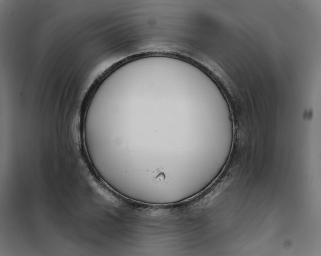 X0000102031030200808081807