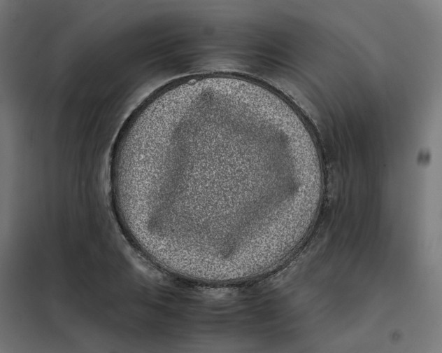 X0000102031031200808081807