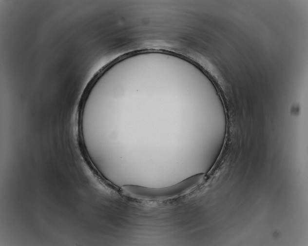 X0000102031032200808081807