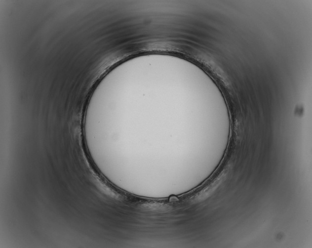 X0000102031033200808081807