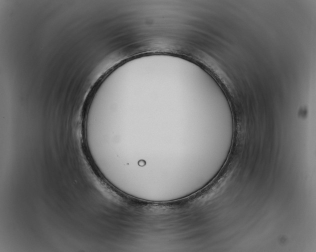 X0000102031034200808081807