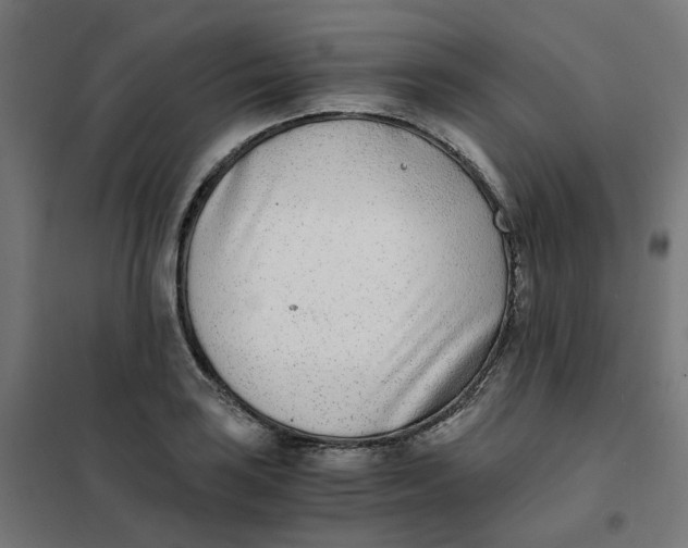 X0000102031035200808081807