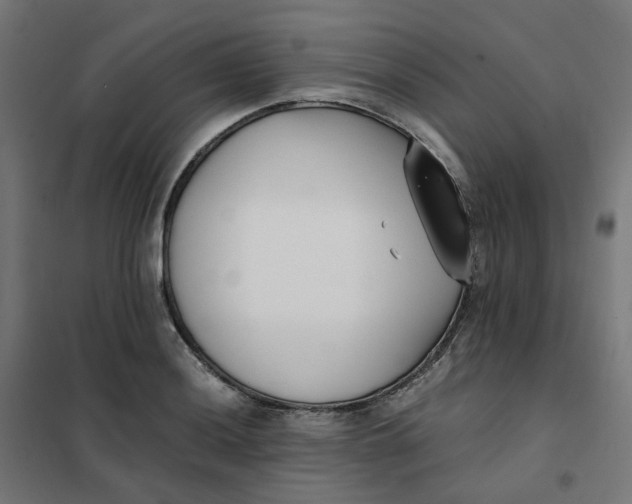 X0000102031036200808081807